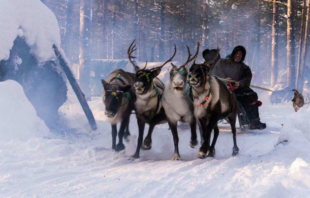 Чукотка в Подмосковье